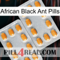 African Black Ant Pills cialis4